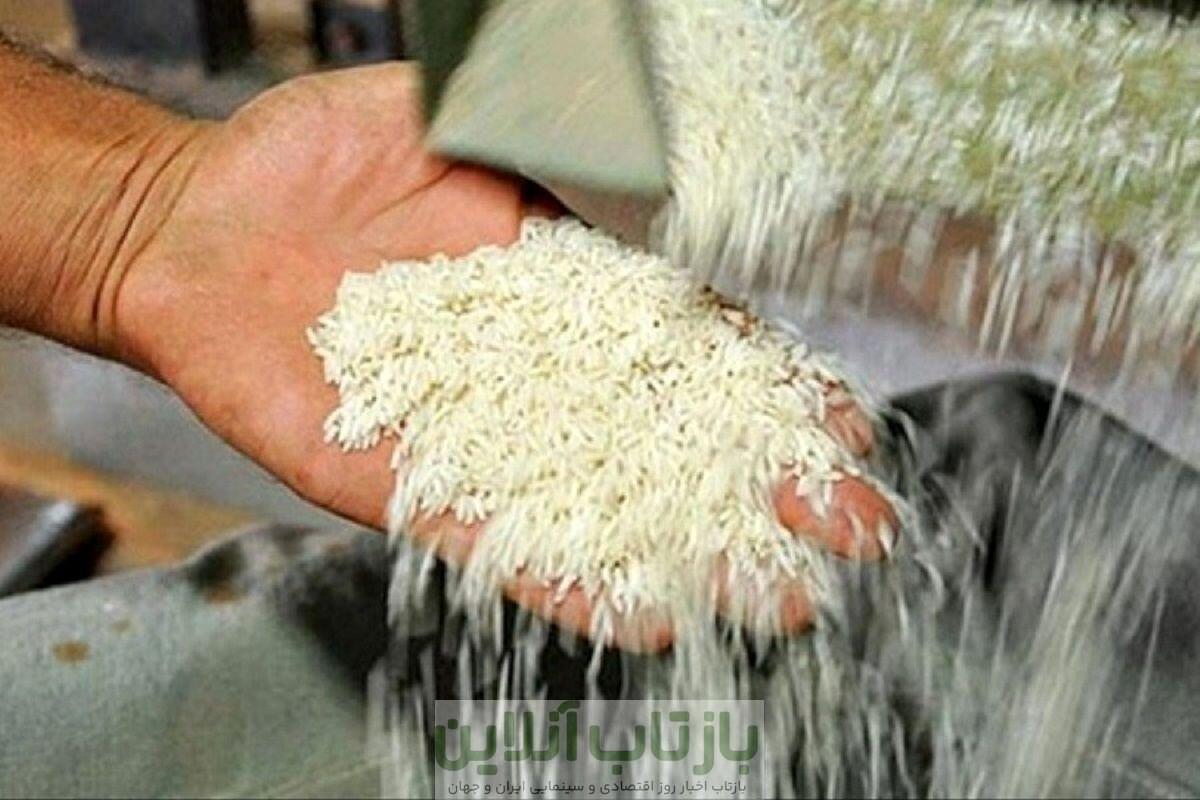 آینده قیمت برنج در ایران چه خواهد شد؟/ برنج ۳۰۰ هزار تومانی هم آرزو میشود؟!